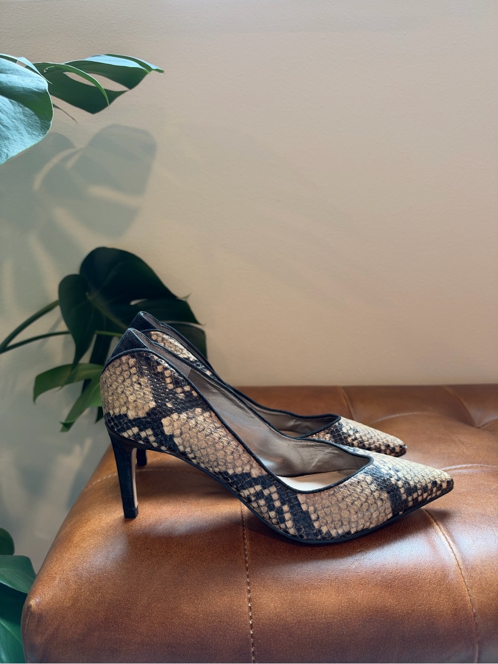 Sam Edelman Snake-Print Pointed Pumps in Beige and Black SIZE 8
